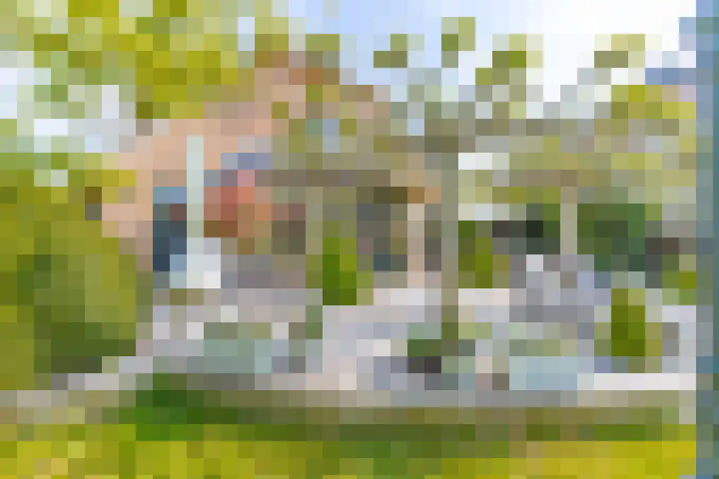 Mr S. Naaijenstraat 20 Andel thumbnail 72