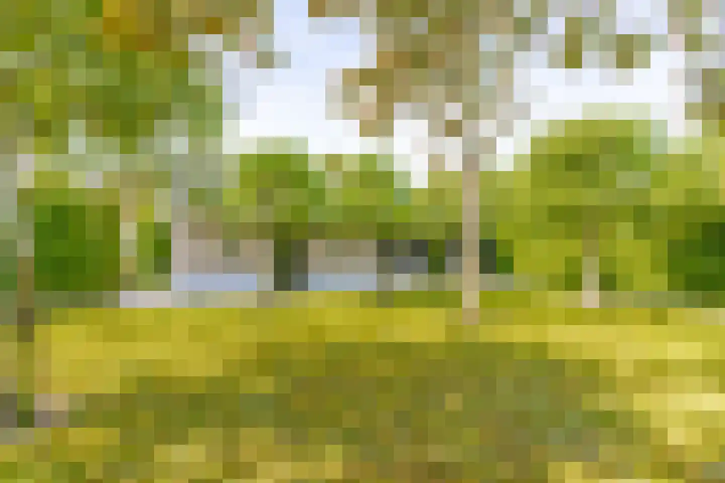 Mr S. Naaijenstraat 20 Andel thumbnail 76