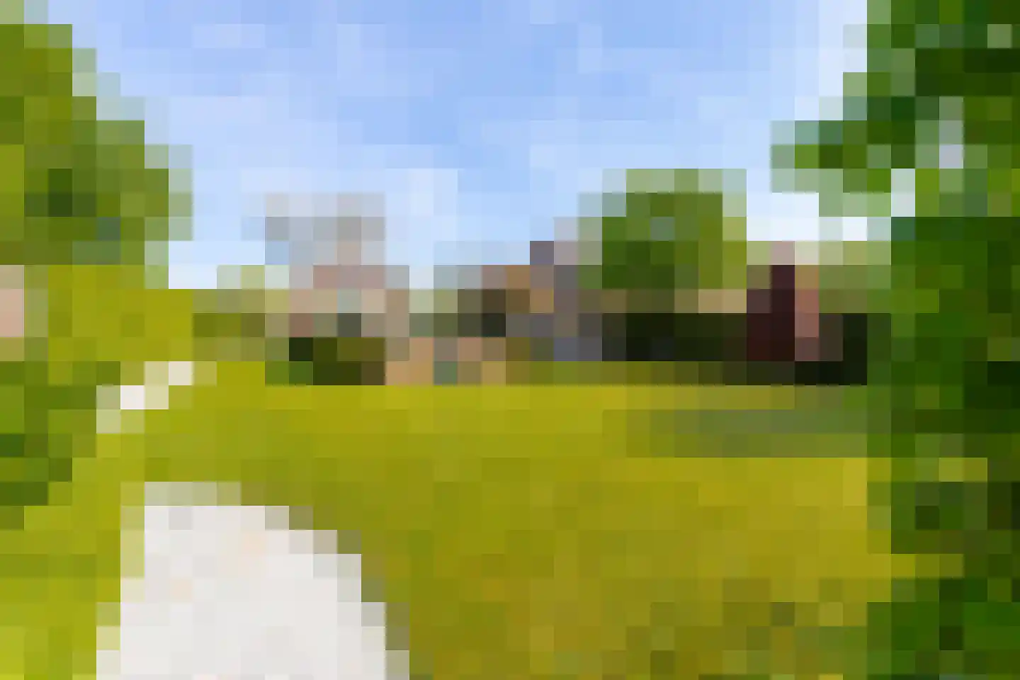 Mr S. Naaijenstraat 20 Andel thumbnail 79