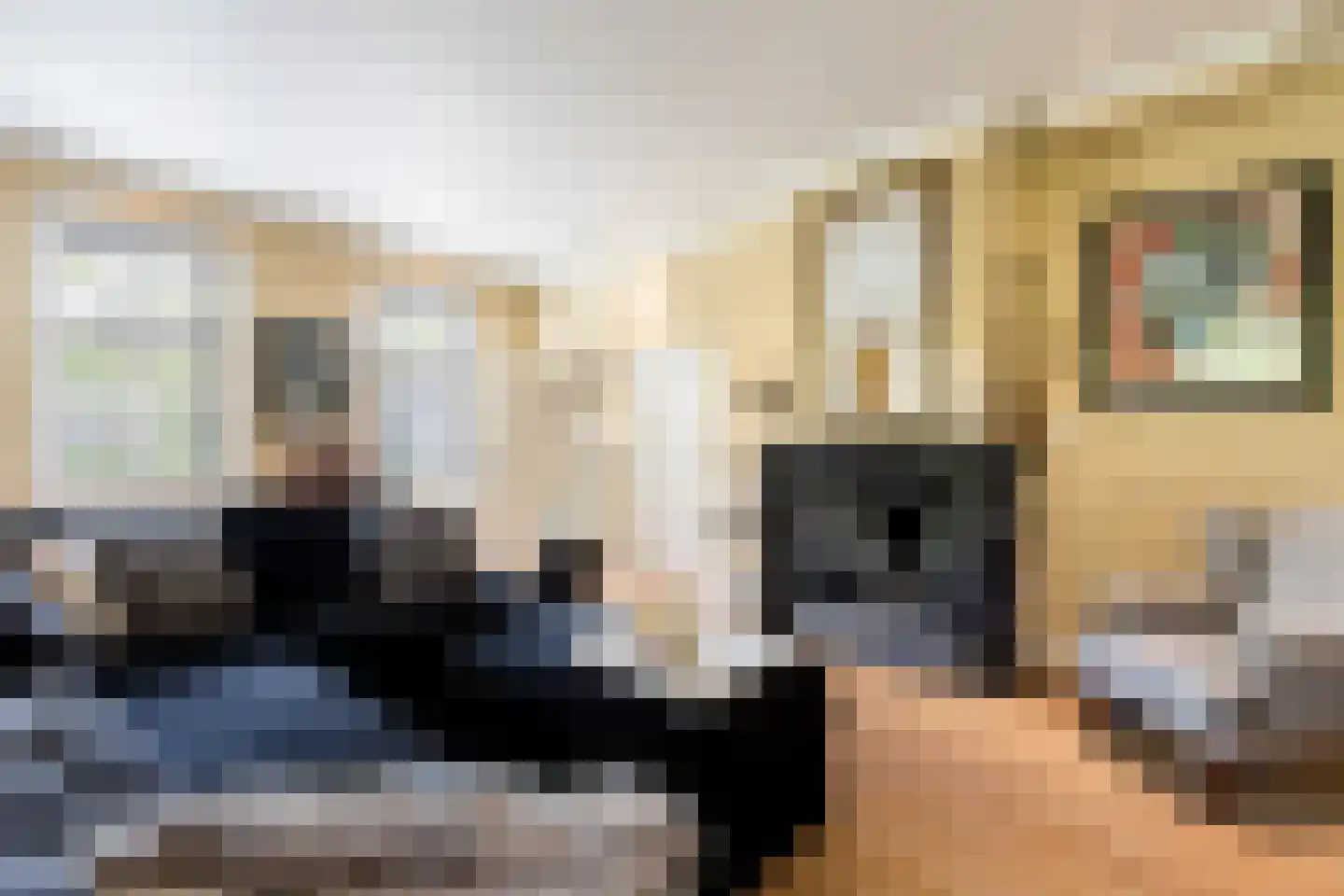 Mr S. Naaijenstraat 20 Andel thumbnail 8