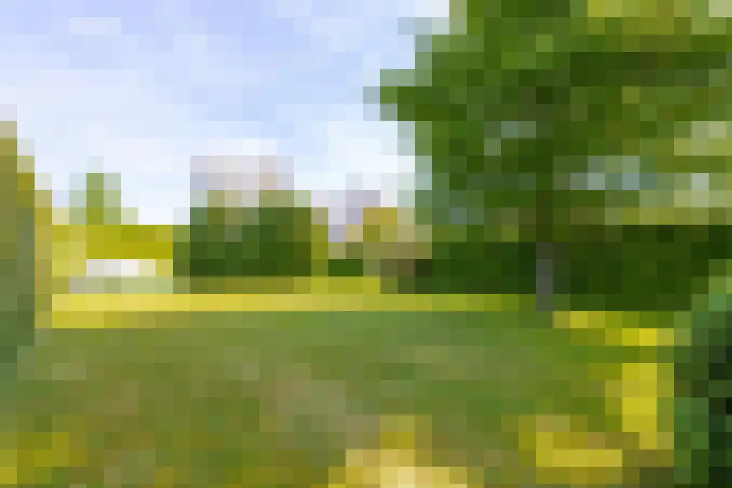 Mr S. Naaijenstraat 20 Andel thumbnail 80