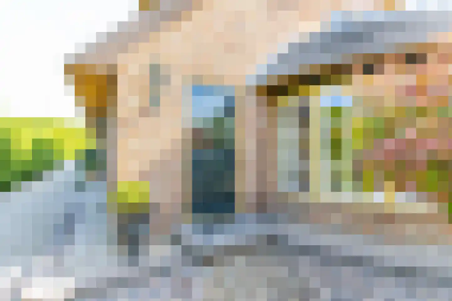 Mr S. Naaijenstraat 20 Andel thumbnail 81