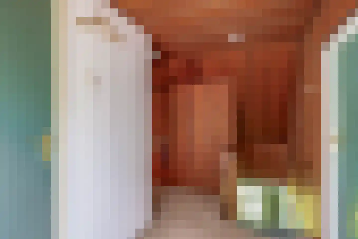 Mr S. Naaijenstraat 26 Andel thumbnail 31