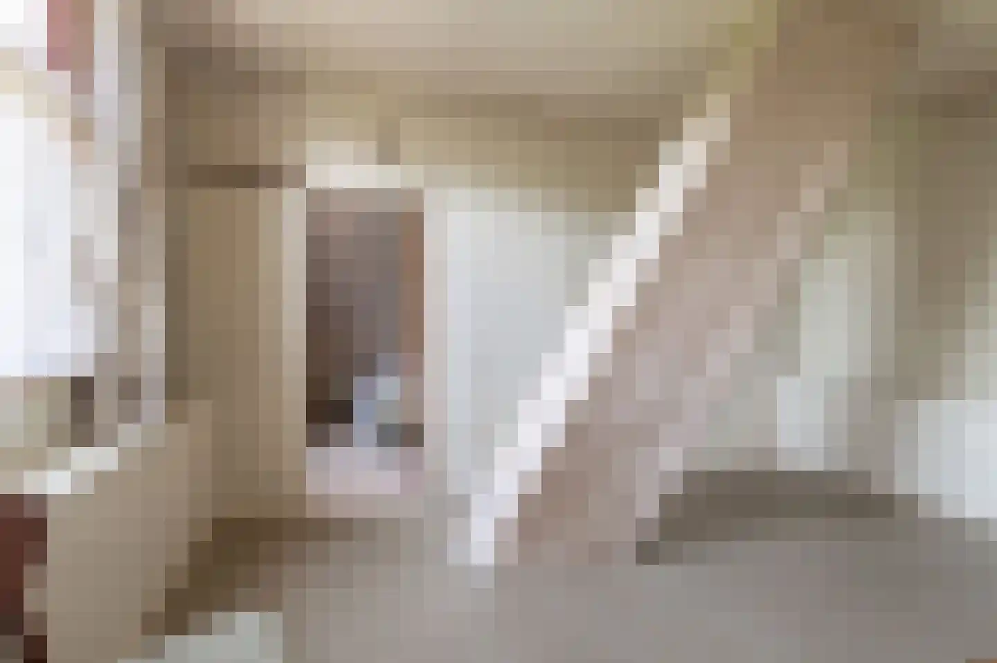 Mr S. Naaijenstraat 28 Andel thumbnail 31