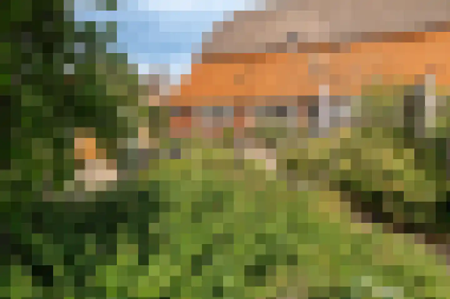 Mr S. Naaijenstraat 28 Andel thumbnail 45