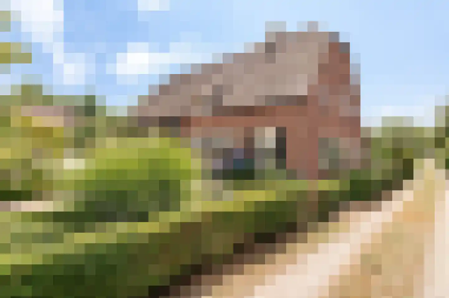 Mr S. Naaijenstraat 28 Andel thumbnail 53