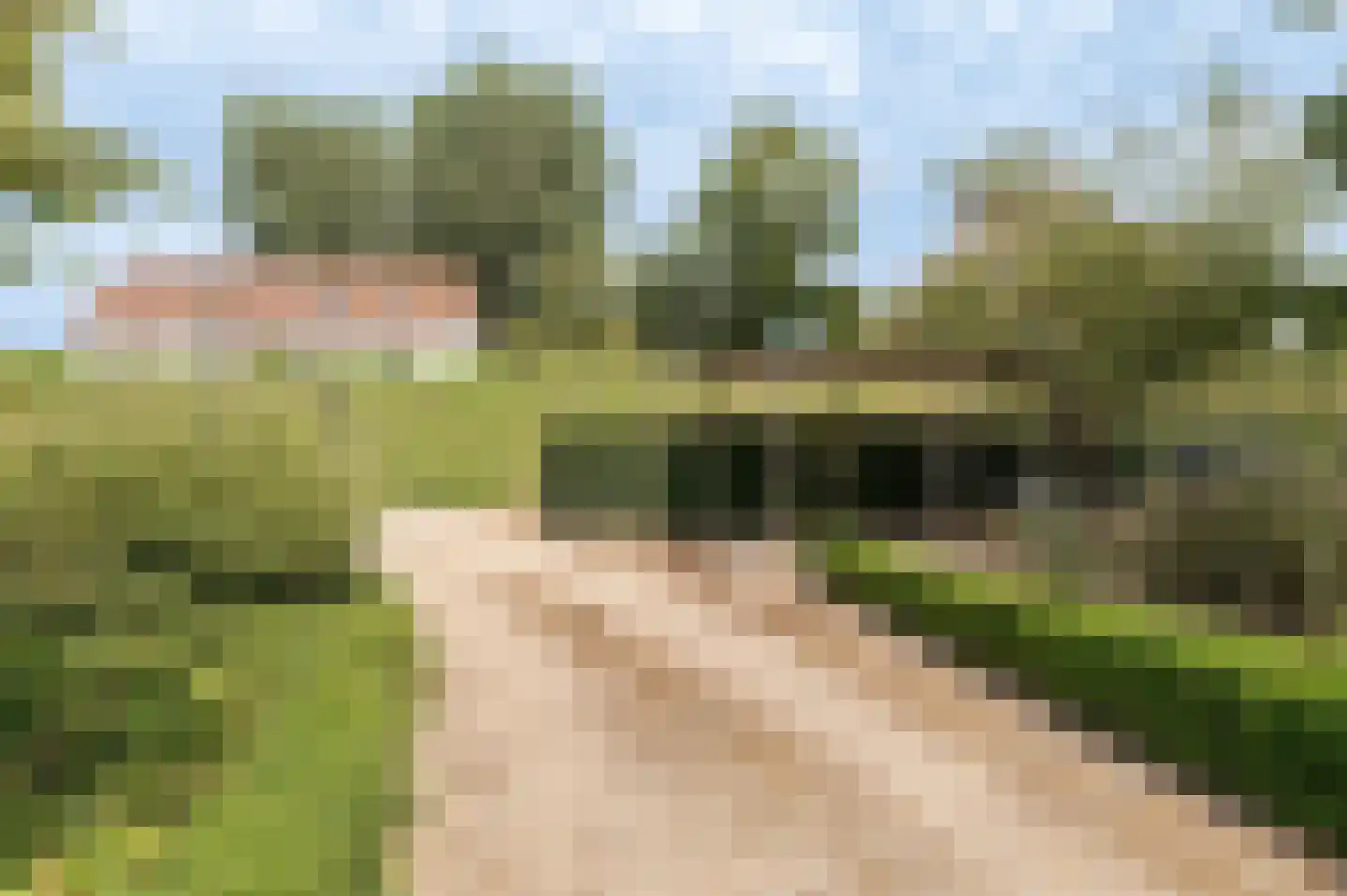 Mr S. Naaijenstraat 28 Andel thumbnail 54