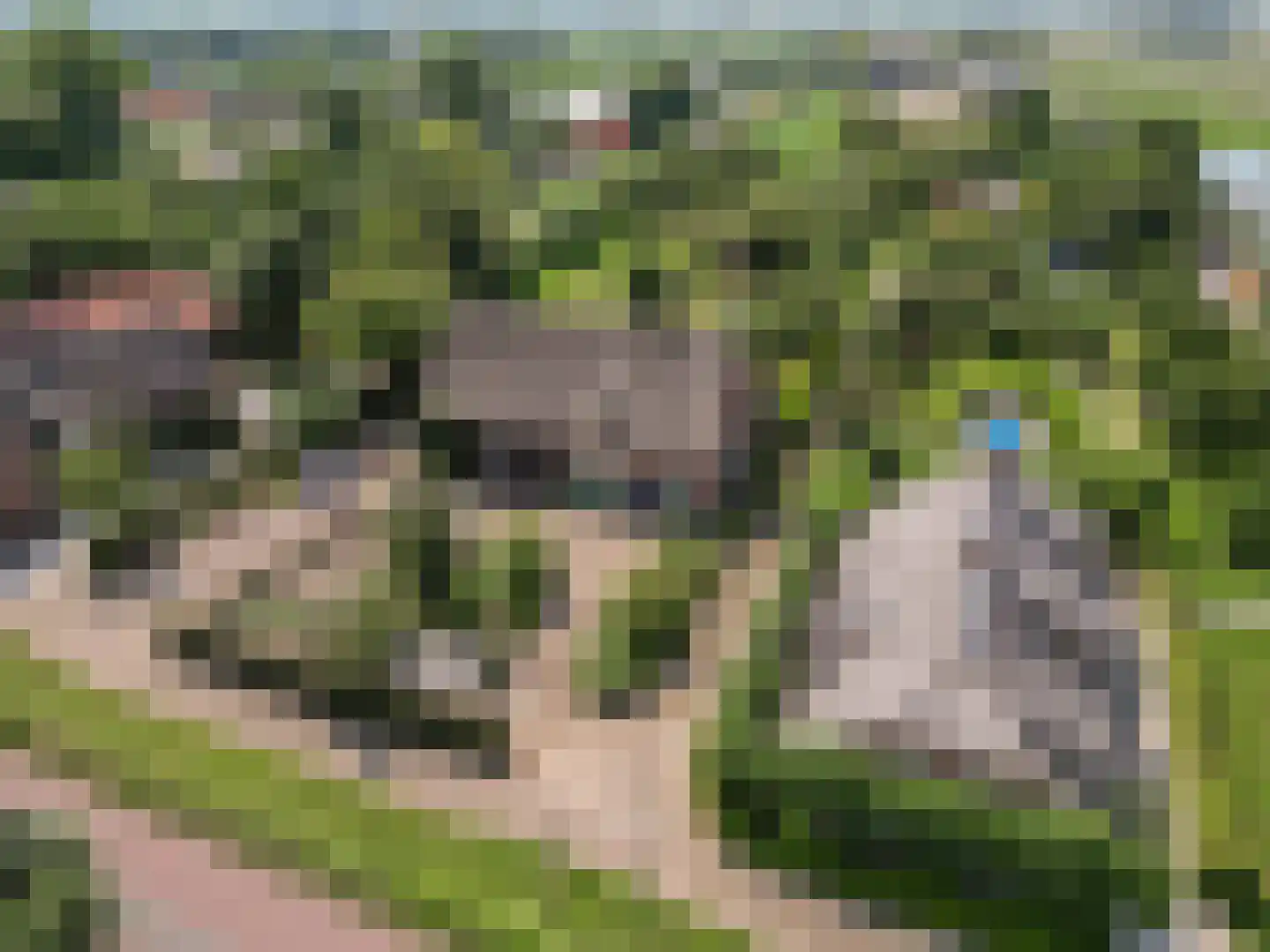 Mr S. Naaijenstraat 28 Andel thumbnail 67
