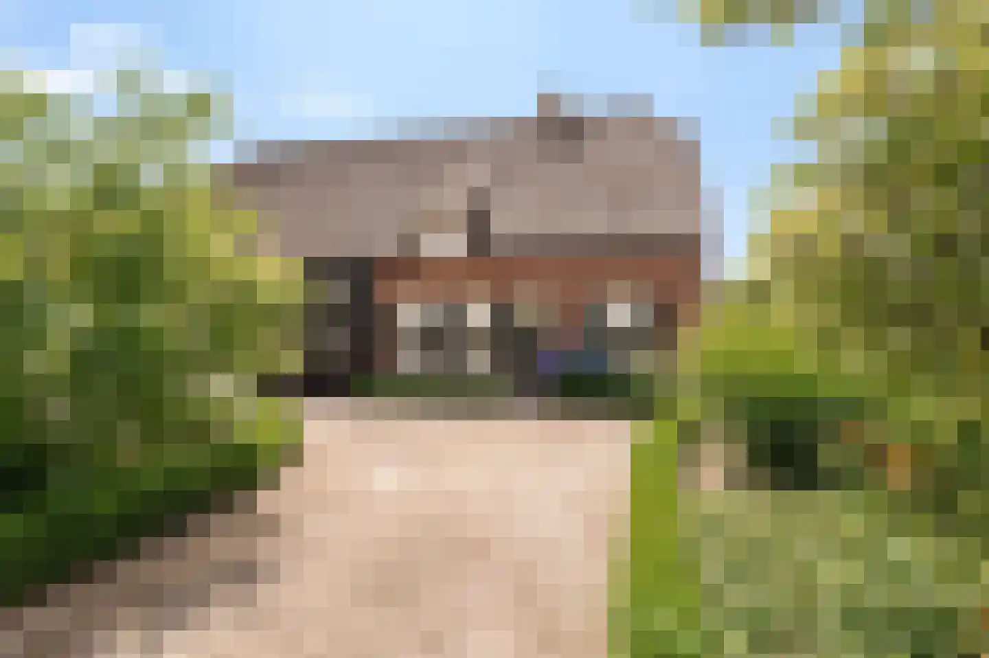 Mr S. Naaijenstraat 28 Andel thumbnail 9