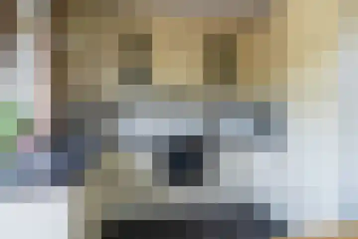 Mr S. Naaijenstraat 3 Andel thumbnail 10