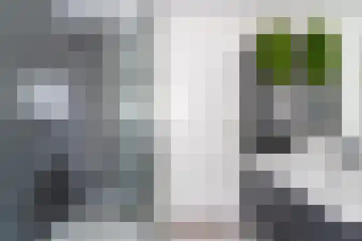 Mr S. Naaijenstraat 3 Andel thumbnail 22