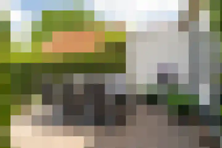 Mr S. Naaijenstraat 3 Andel thumbnail 24