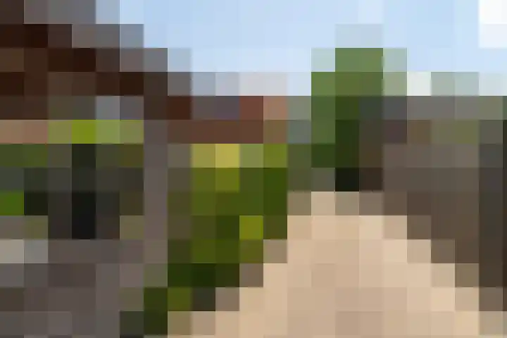 Mr S. Naaijenstraat 3 Andel thumbnail 32