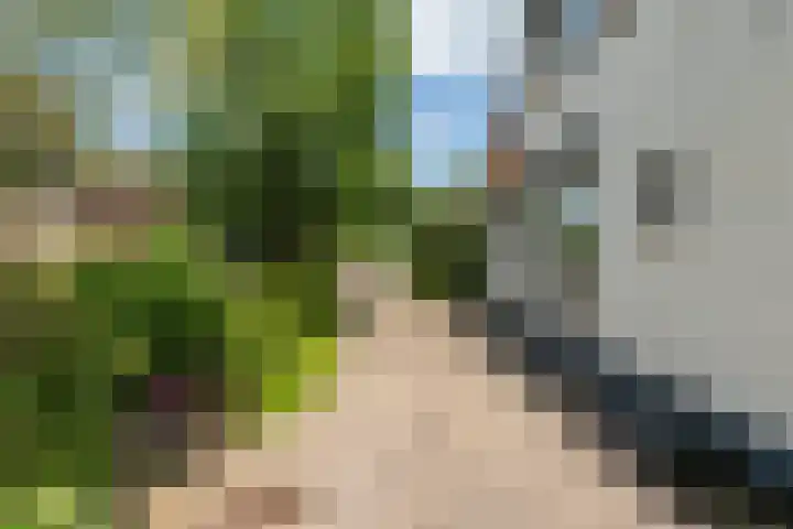 Mr S. Naaijenstraat 3 Andel thumbnail 4