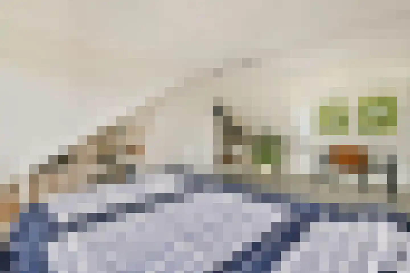 Mr. S. van Houtenlaan 6 Amstelveen thumbnail 20