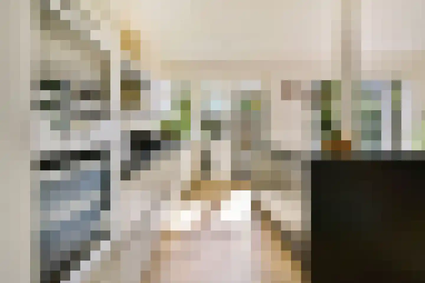 Mr. S. van Houtenlaan 6 Amstelveen thumbnail 6