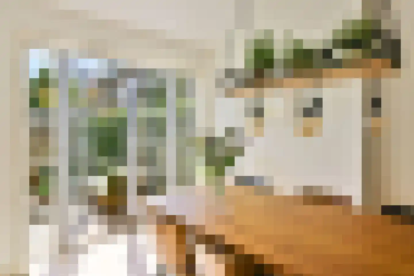 Mr. S. van Houtenlaan 6 Amstelveen thumbnail 8