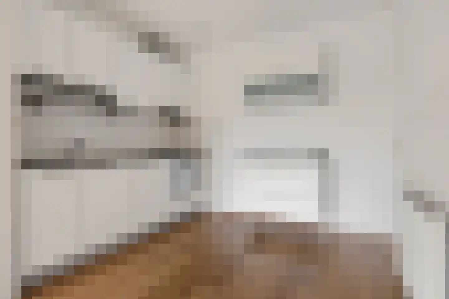 Mr. S. van Houtenstraat 17 Assen thumbnail 14