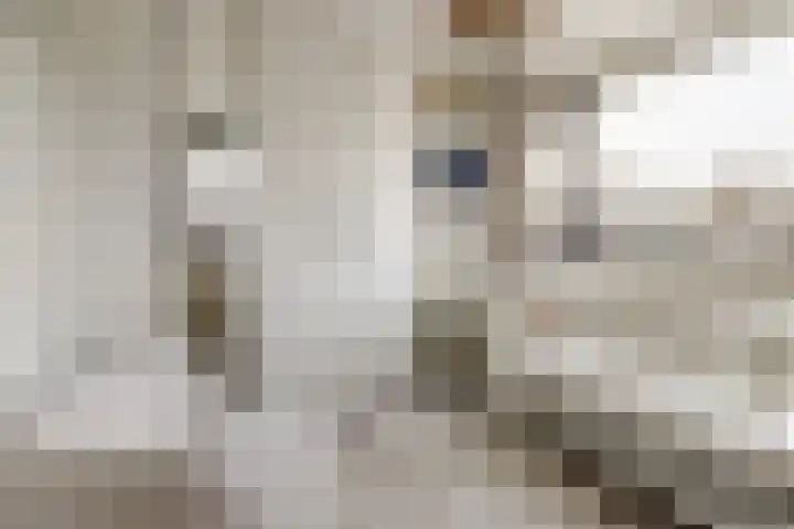 Mr. S. van Houtenweg 10 De Bilt thumbnail 21