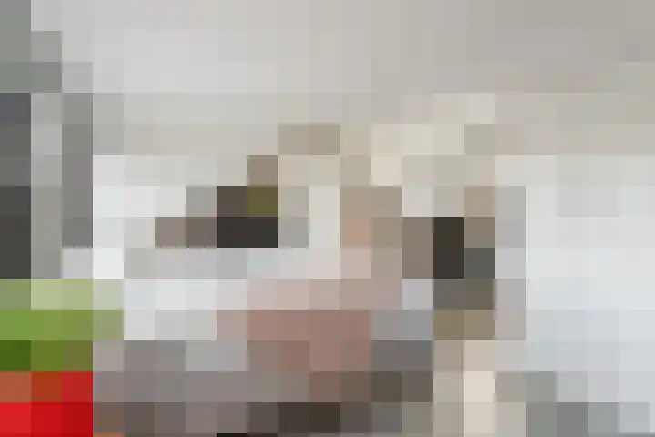 Mr. S. van Houtenweg 10 De Bilt thumbnail 23