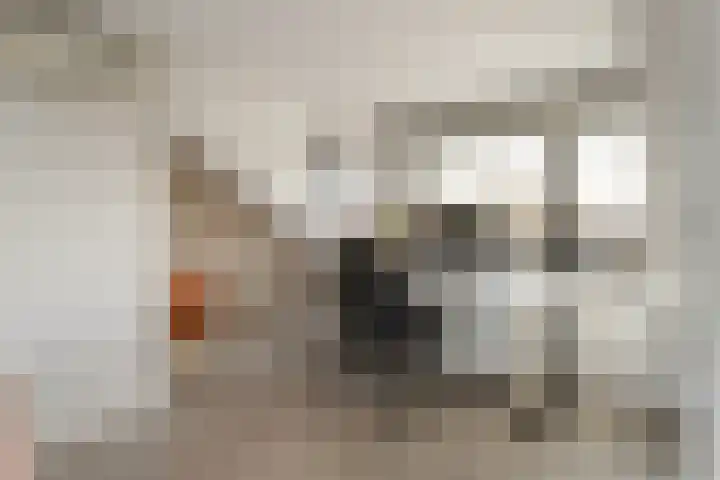 Mr. S. van Houtenweg 10 De Bilt thumbnail 25