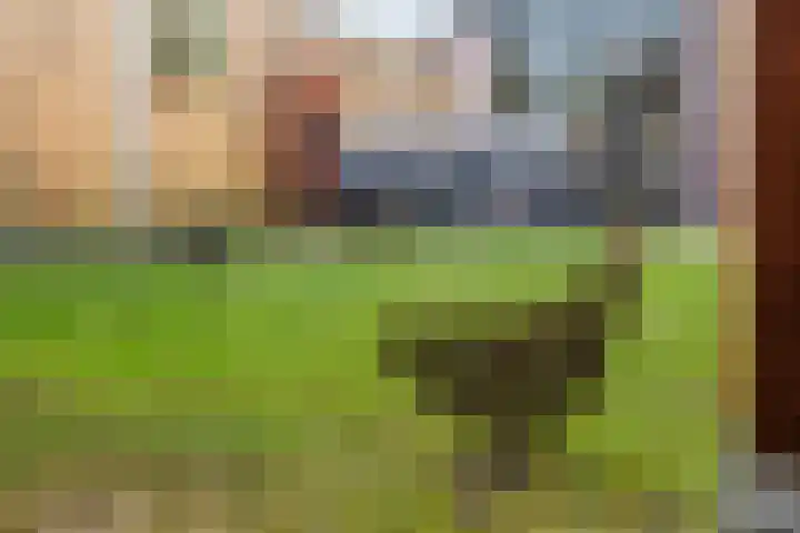 Mr. S. van Houtenweg 10 De Bilt thumbnail 27