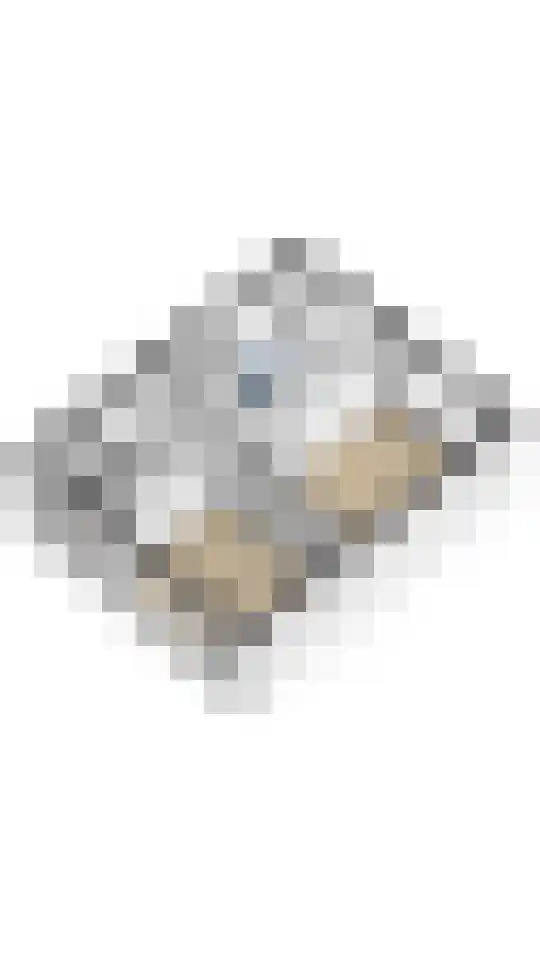 Mr. S. van Houtenweg 10 De Bilt thumbnail 38