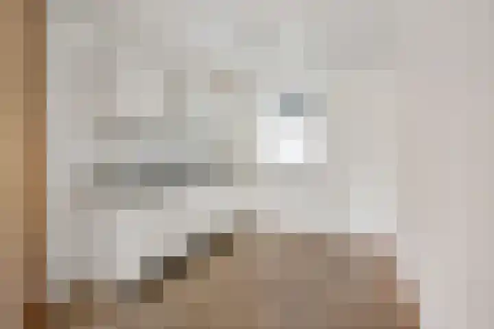 Mr. Samuel van Houtenhof 24 Arnhem thumbnail 10