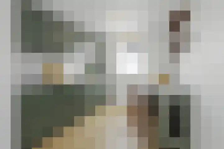 Mr. Samuel van Houtenhof 24 Arnhem thumbnail 11