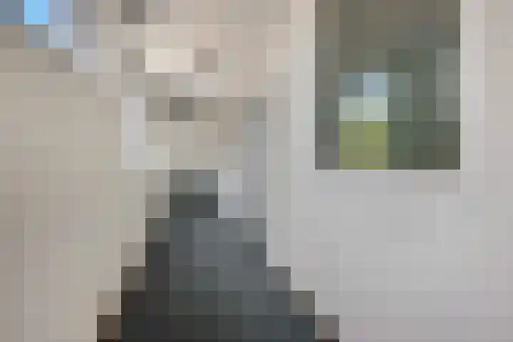 Mr. Samuel van Houtenhof 24 Arnhem thumbnail 21