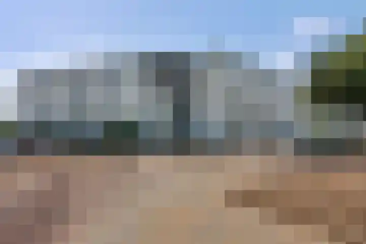 Mr. Samuel van Houtenhof 24 Arnhem thumbnail 24