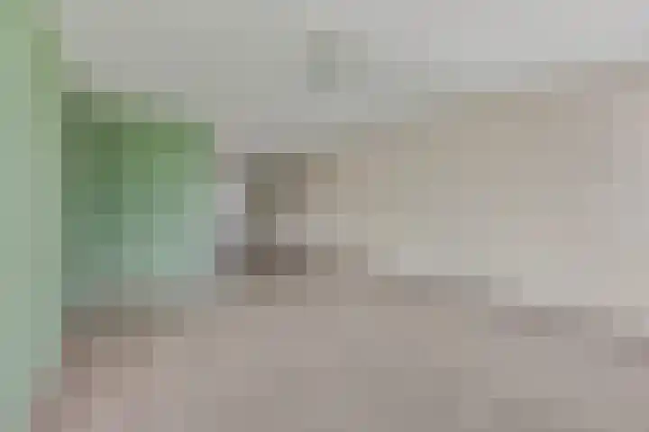 Mr. Samuel van Houtenhof 24 Arnhem thumbnail 4