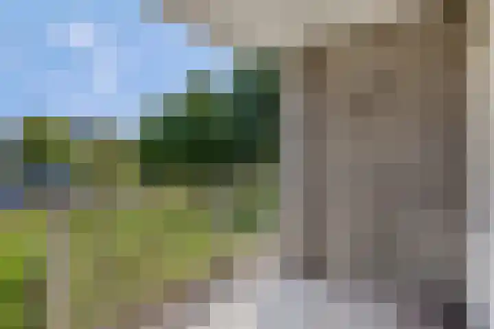 Mr. Samuel van Houtenhof 24 Arnhem thumbnail 7