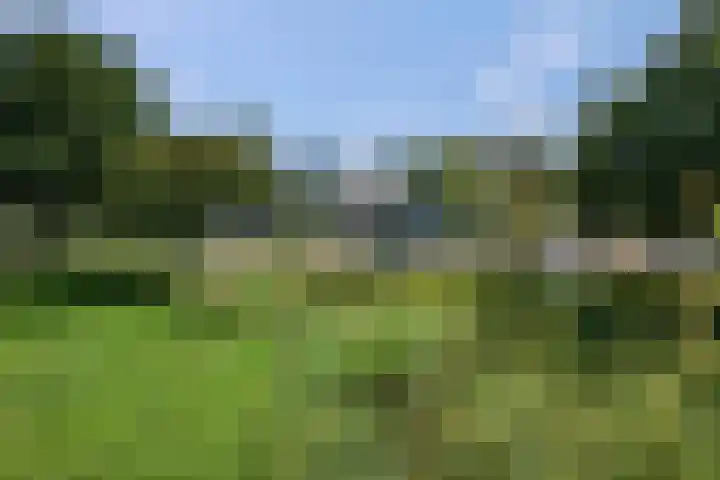 Mr. Samuel van Houtenhof 24 Arnhem thumbnail 9