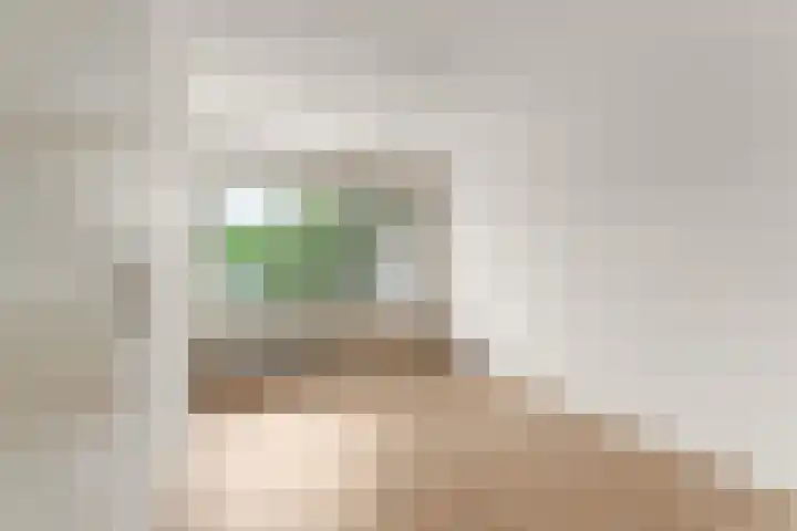 Mr. Samuel van Houtenhof 26 Arnhem thumbnail 12
