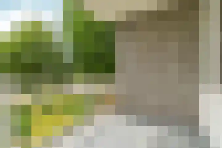 Mr. Samuel van Houtenhof 26 Arnhem thumbnail 16