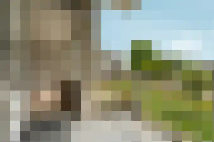 Mr. Samuel van Houtenhof 26 Arnhem thumbnail 17