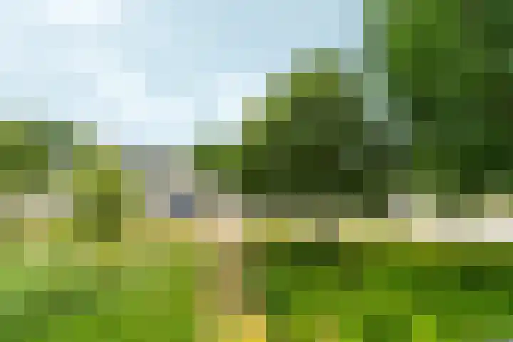 Mr. Samuel van Houtenhof 26 Arnhem thumbnail 22