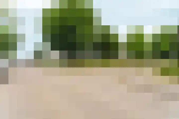 Mr. Samuel van Houtenhof 26 Arnhem thumbnail 23