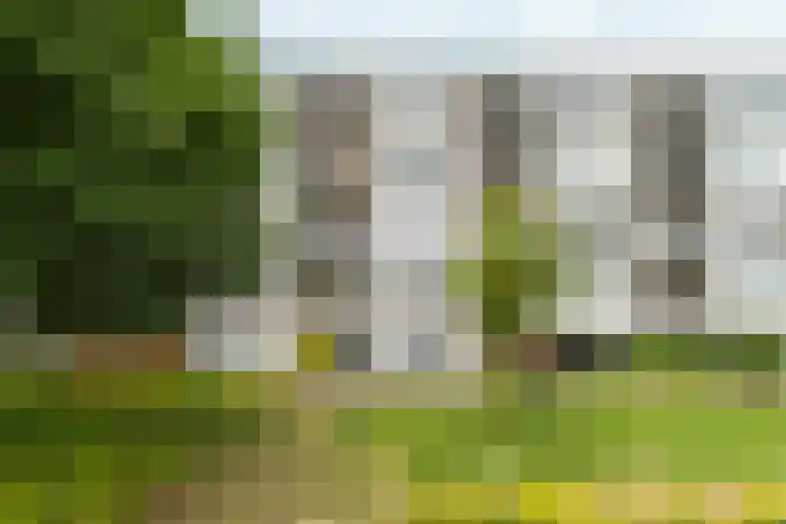 Mr. Samuel van Houtenhof 26 Arnhem thumbnail 26