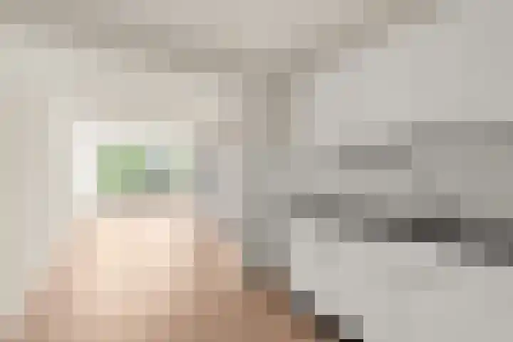 Mr. Samuel van Houtenhof 26 Arnhem thumbnail 4