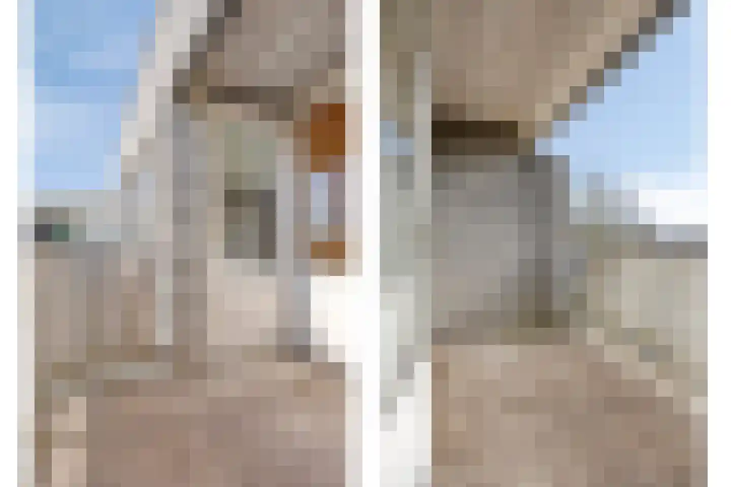 Mr. Samuel van Houtenhof 72 Arnhem thumbnail 12
