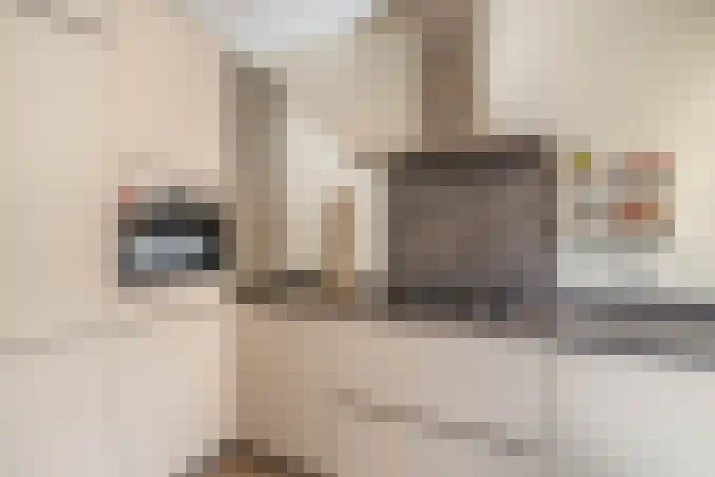 Mr. Schokkingstraat 48 's-Gravenzande thumbnail 17