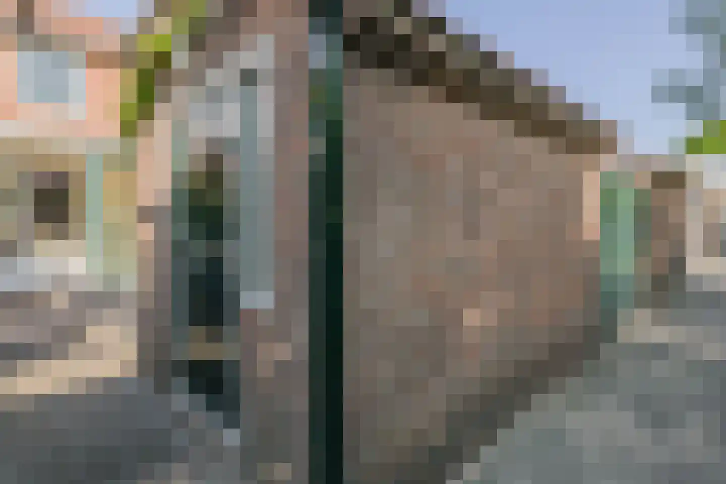 Mr. Schokkingstraat 48 's-Gravenzande thumbnail 32