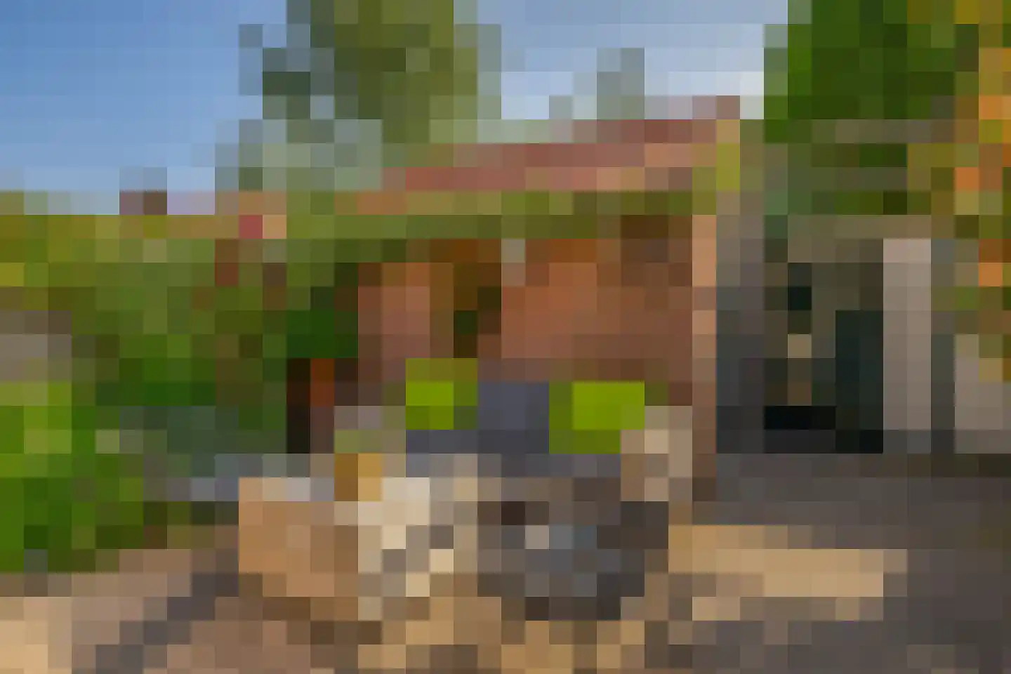 Mr. Schokkingstraat 48 's-Gravenzande thumbnail 6