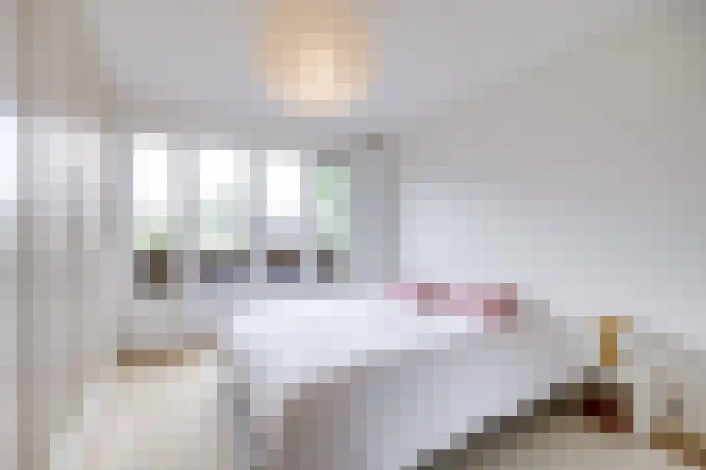 Mr. Sickeszlaan 14 Utrecht thumbnail 36