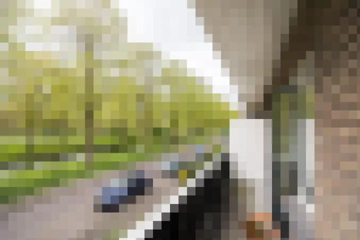 Mr. Sickeszlaan 14 Utrecht thumbnail 40