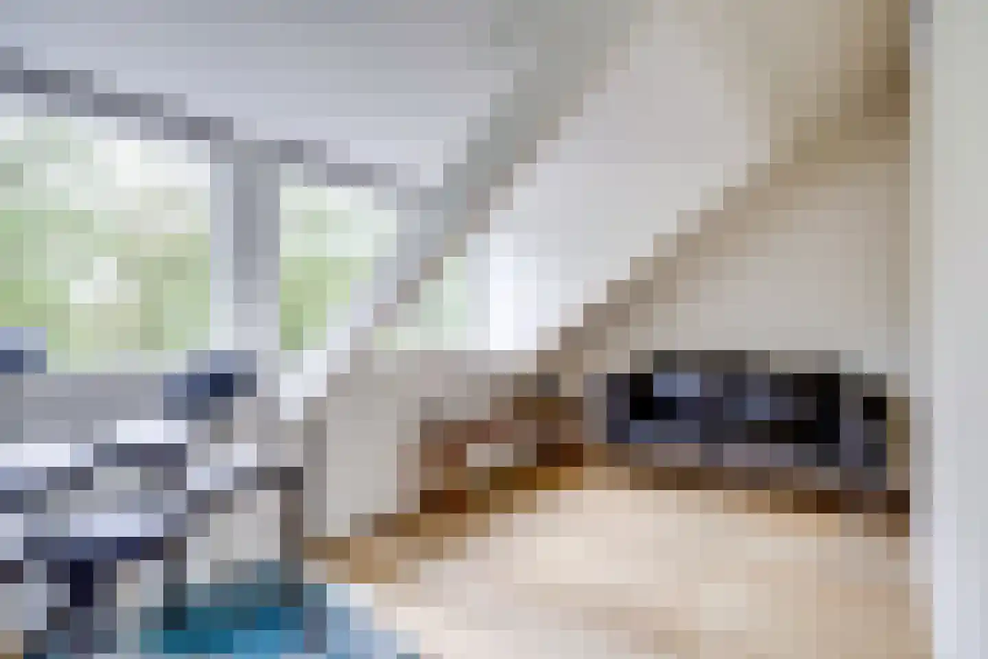 Mr. Sickeszlaan 14 Utrecht thumbnail 49