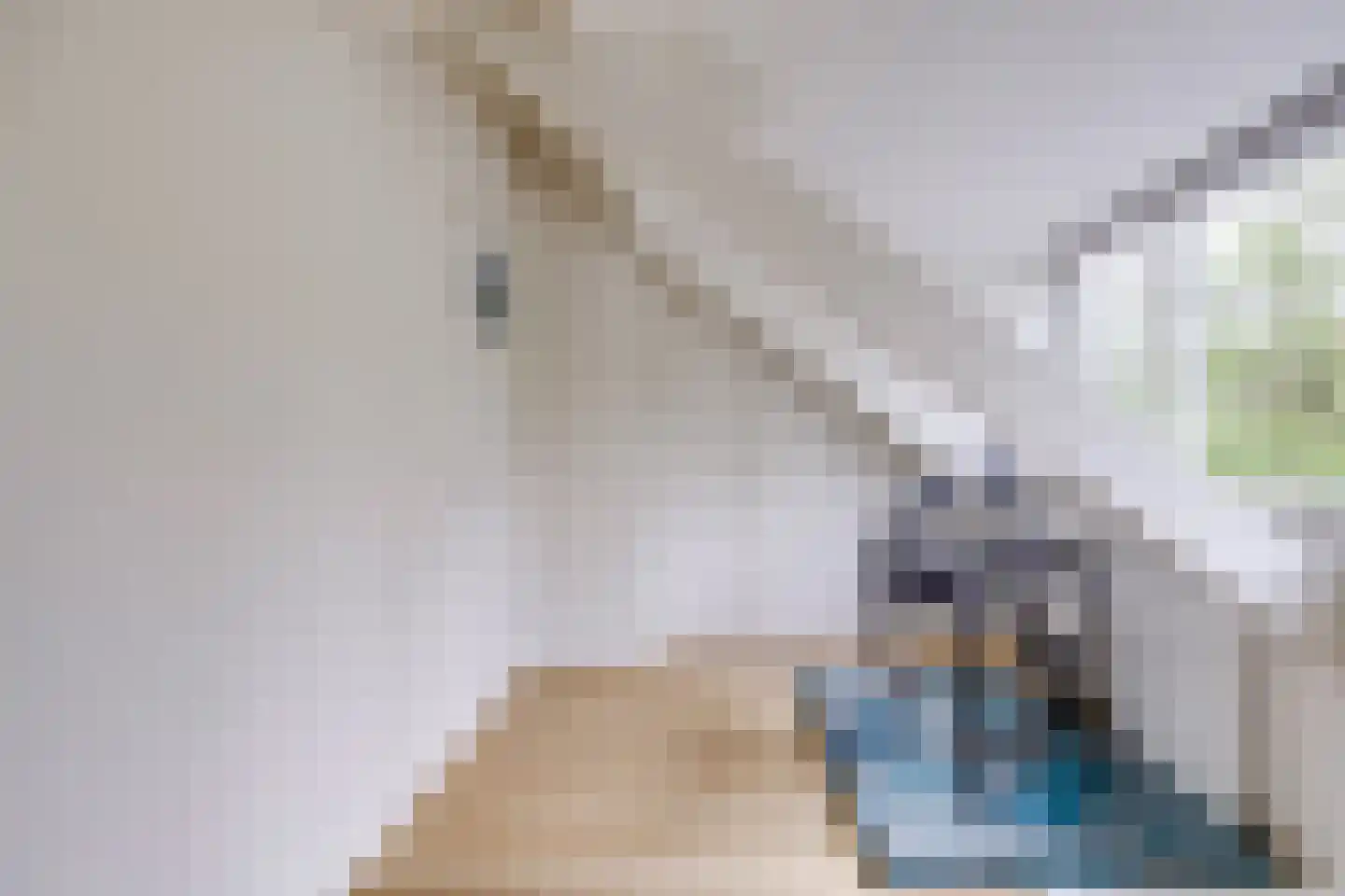 Mr. Sickeszlaan 14 Utrecht thumbnail 50