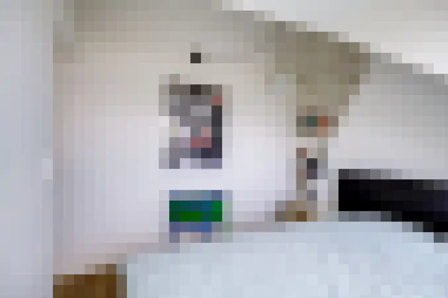 Mr. Sickeszlaan 14 Utrecht thumbnail 52